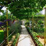 Lejlighed Roza Biograd Oneroom - Premium Location