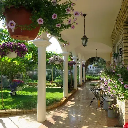 Roza Biograd Oneroom - Premium Location Apartmán Biograd Na Moru