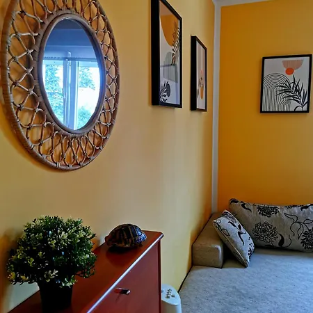 Apartmán Roza Biograd Oneroom - Premium Location *