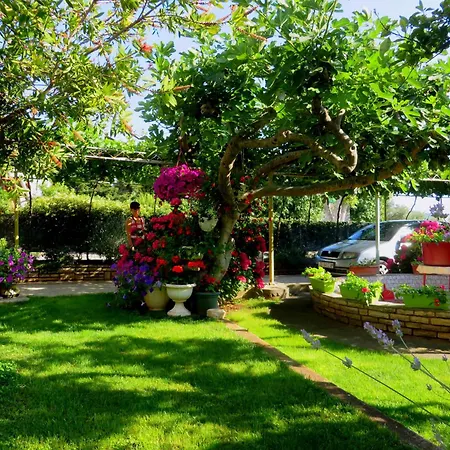 Roza Biograd Oneroom - Premium Location * بيوغْغاد نا موغو