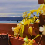 Roza Biograd Oneroom - Premium Location