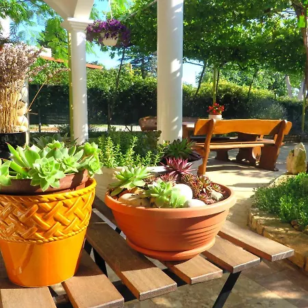 Appartamento Roza Biograd Oneroom - Premium Location Biograd Na Moru