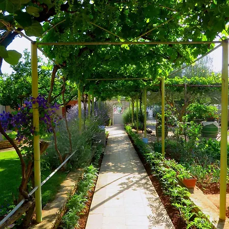 Appartamento Roza Biograd Oneroom - Premium Location