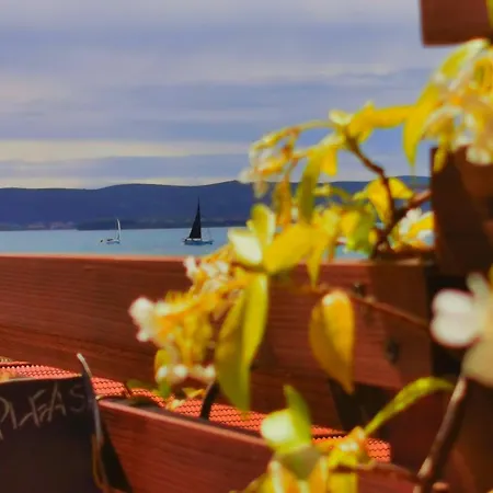 Roza Biograd Oneroom - Premium Location